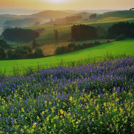 Du Commerce - Restaurant La Table De Clervaux